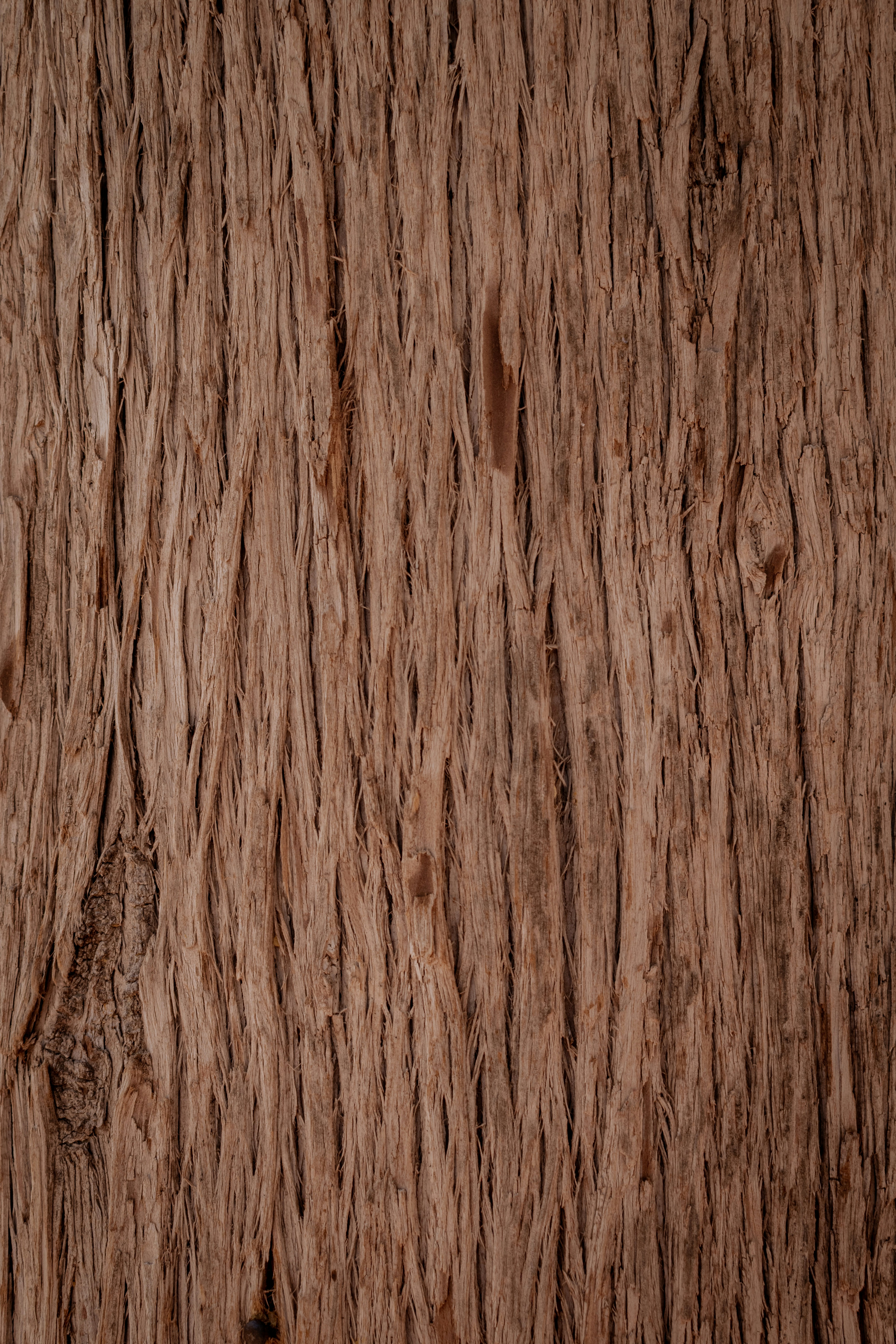 Wood grain texture reference